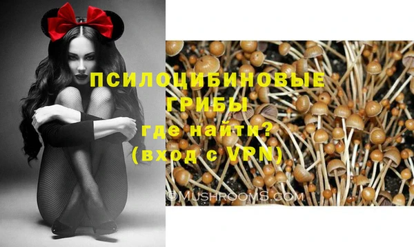 хмурый Алзамай