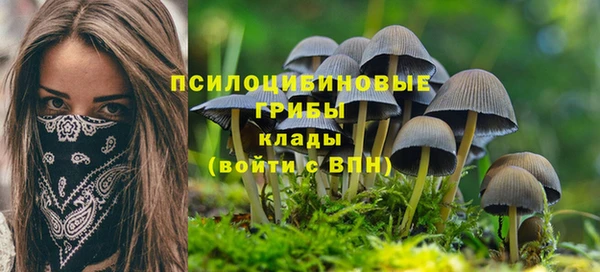хмурый Алзамай