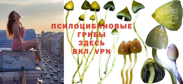 хмурый Алзамай
